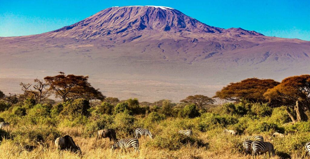 Amboseli Tours