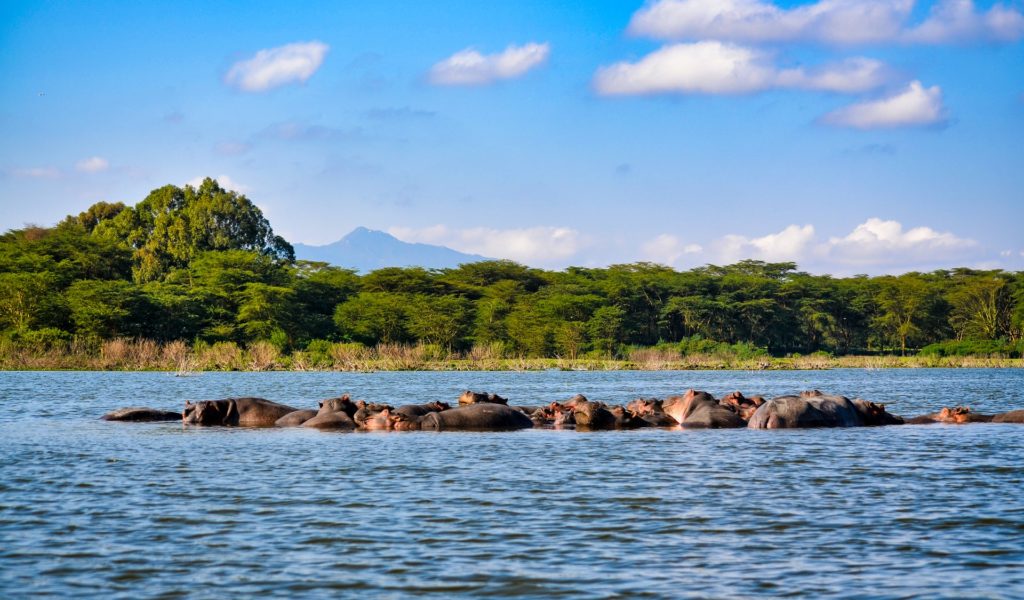 6 Days Maasai Mara – Lake Nakuru – Amboseli Safari