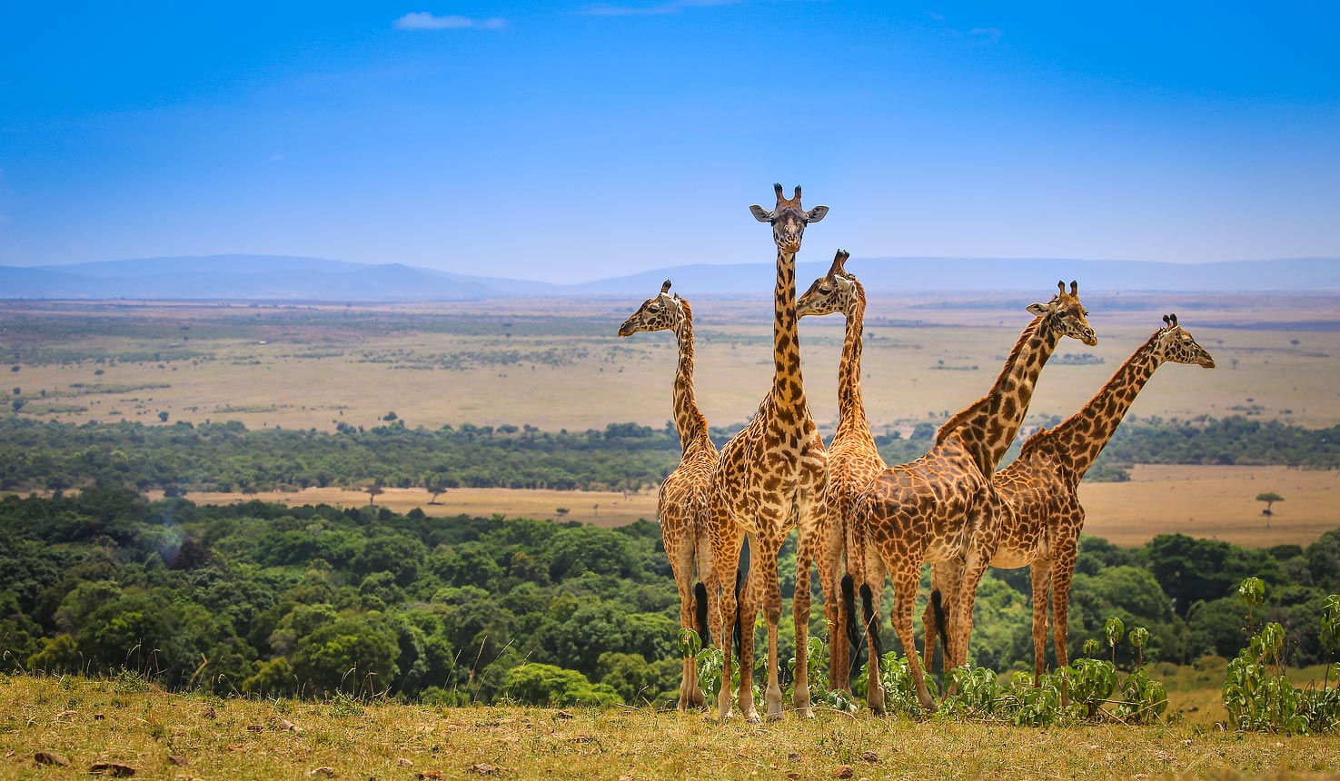 safari in kenya in september